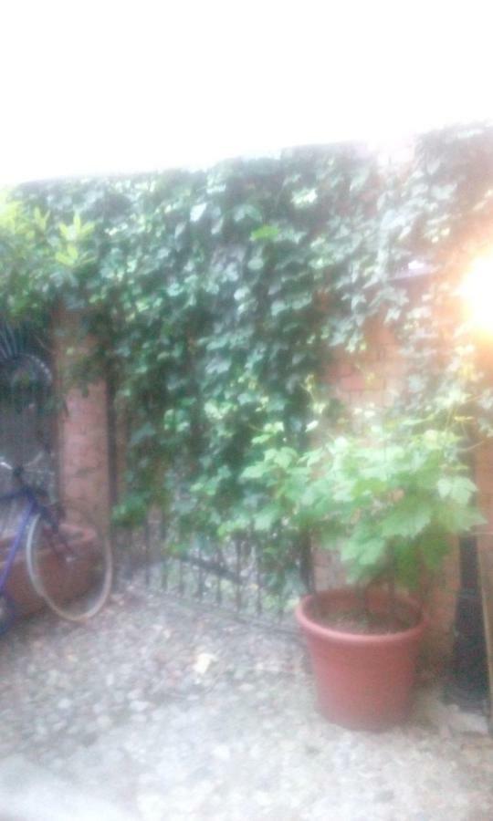 Central Apartment With Garden Milano Dış mekan fotoğraf